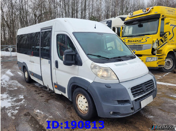 Туристический автобус FIAT Ducato - VIP - 17 Seater: фото 4